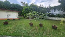 Swiss Club Park (D11), Detached #520127621